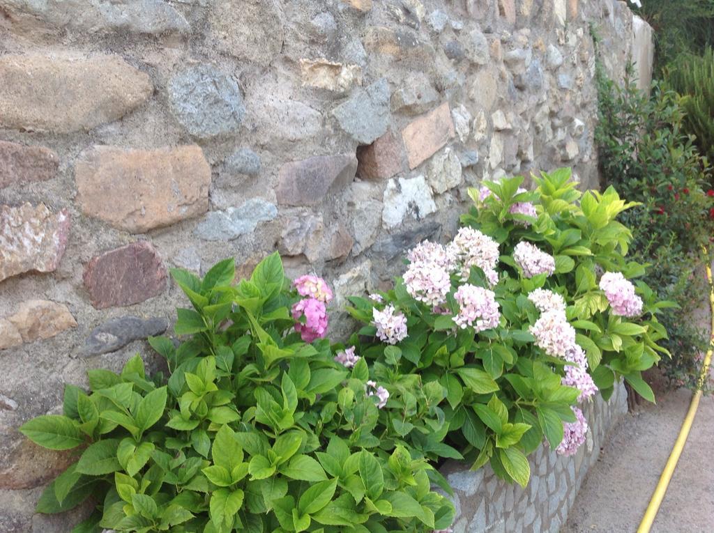 Clerc